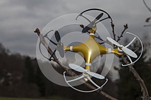 Drone quadcopter crashed on tree in city park