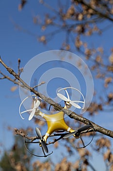 Drone quadcopter crashed on tree in city park
