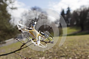 Drone quadcopter crashed on tree in city park