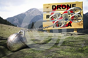 Drone restricted area