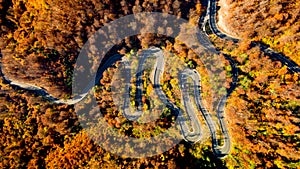 Drone`s view Aerial landscape of colourful landscape with traffic, rural road, autumn trees with, yellow and orange leaves