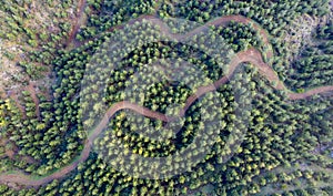 Drone scenery of rural mountain windy road through forest. Troodos mountains Cyprus