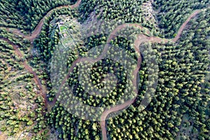 Drone scenery of rural mountain windy road through forest. Troodos mountains Cyprus