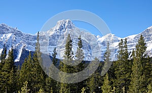 DRONE: Scenic view of Rocky Mountains towering above the pine woods in Banff.