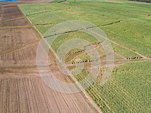 Drone shot of agriculture at Childers Queensland