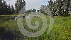 Drone shot along a beautiful still slough showing a perfect reflection