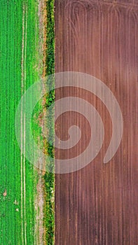 Drone shot of a field