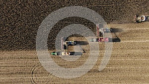 Drone shot flying over two combine harvesters transferring freshly harvested corn to tractor-trailer for transport