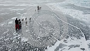 Drone shot following a dog team on lake Baikal.