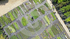 Drone shot of man watering plants in garden centre