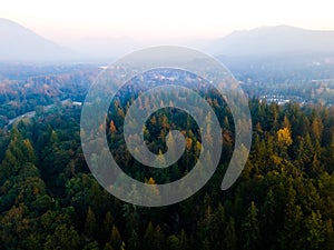 Drone shot of Mount Rainier Stratovolcano in Washington State