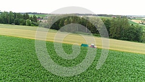 drone shot over corn crop field