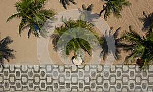 Drone shot of palm trees on the beach along the sidewalk with famous Copacabana mosaic