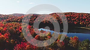 Drone shot rising above autumn colors in the forest with a clear blue sky and a mirror like lake