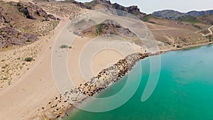 Drone shot of river Ili and herd of sheep