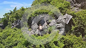 Drone Shows Backside View Athletic Girl Climbs Large Rocks