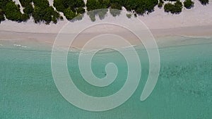 Drone sky of idyllic island beach voyage by blue water and white sand background