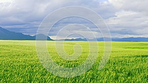 Drone, sky and a landscape in summer with grass on a green field for natural growth or sustainability. Nature, mountains