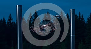 Drone and Spiderweb Night Photography: A Technological marvel in the Forest