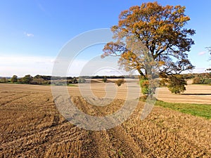 Drone still image of the Sussex countryside.