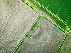 Drone top down view of farm fields showing both fresh crops growing.