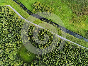 Drone top view on a park scene, Small creek and walking path, Round shape meadow in a forest