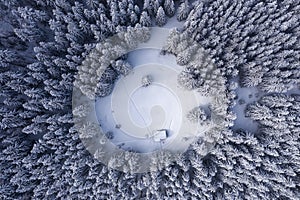 Drone view. Aerial view of white winter forest covered in snow. Landscape on the cold morning. Wooden hut on the lawn. Trees in