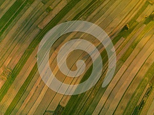 Drone view of agricultural fields in Suloszowa village at sunset, Poland