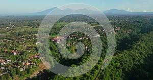 Drone view of Bali. Morning view above Ubud rice fields, arable water farm land, aerial