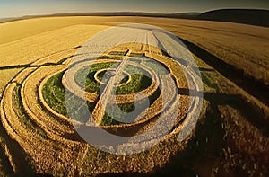 Drone view of crop circles at sunset