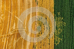 Drone view of crop rotation layout, emphasizing sustainable farming techniques...