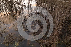 Drone view of flooded forest and reflection of the sky