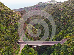 Drone view of forest and plant vegetation on La Palma island