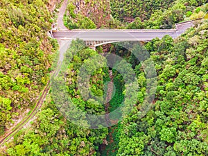 Drone view of forest and plant vegetation on La Palma island