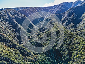 Drone view of forest and plant vegetation on La Palma island