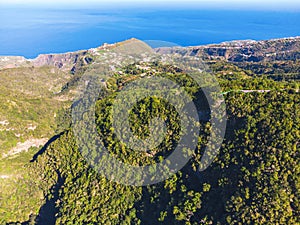 Drone view of forest and plant vegetation on La Palma island