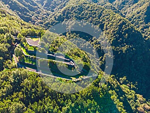 Drone view of forest and plant vegetation on La Palma island