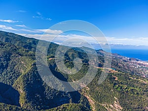 Drone view of forest and plant vegetation on La Palma island