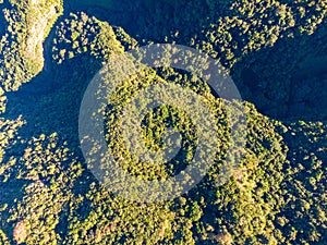 Drone view of forest and plant vegetation on La Palma island