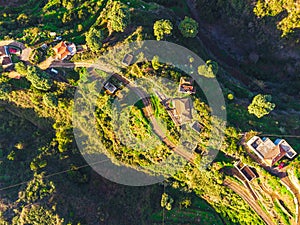 Drone view of forest and plant vegetation on La Palma island