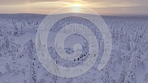 Drone view of hikers cross-country skiing in finnish Lapland
