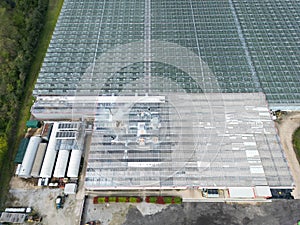 Drone view of a huge commercial glass house growing commercial plants