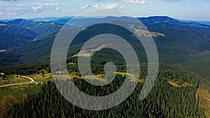 Drone view of mountains peaceful sequoia forest growing rocky peaks panorama