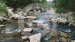 Drone view over forest mountain river with clear water. Aerial footage captures clear water flowing. Scenic video of