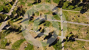 Drone view over gravestones in the Cemetery of Salt Lake City, Utah during the day in fall autumn