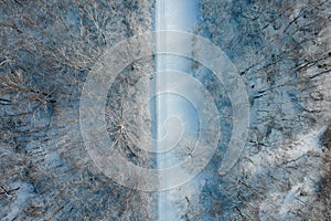 Drone view of the path in the park in winter