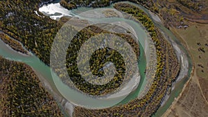 Drone view of river water and green fir trees in daylight