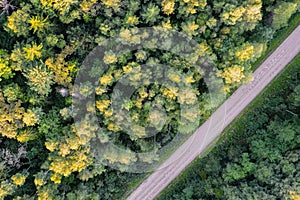 Drone view of road and forest in golden time