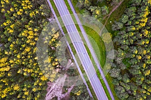 Drone view of road and forest in golden time