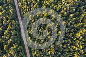 Drone view of road and forest in golden time